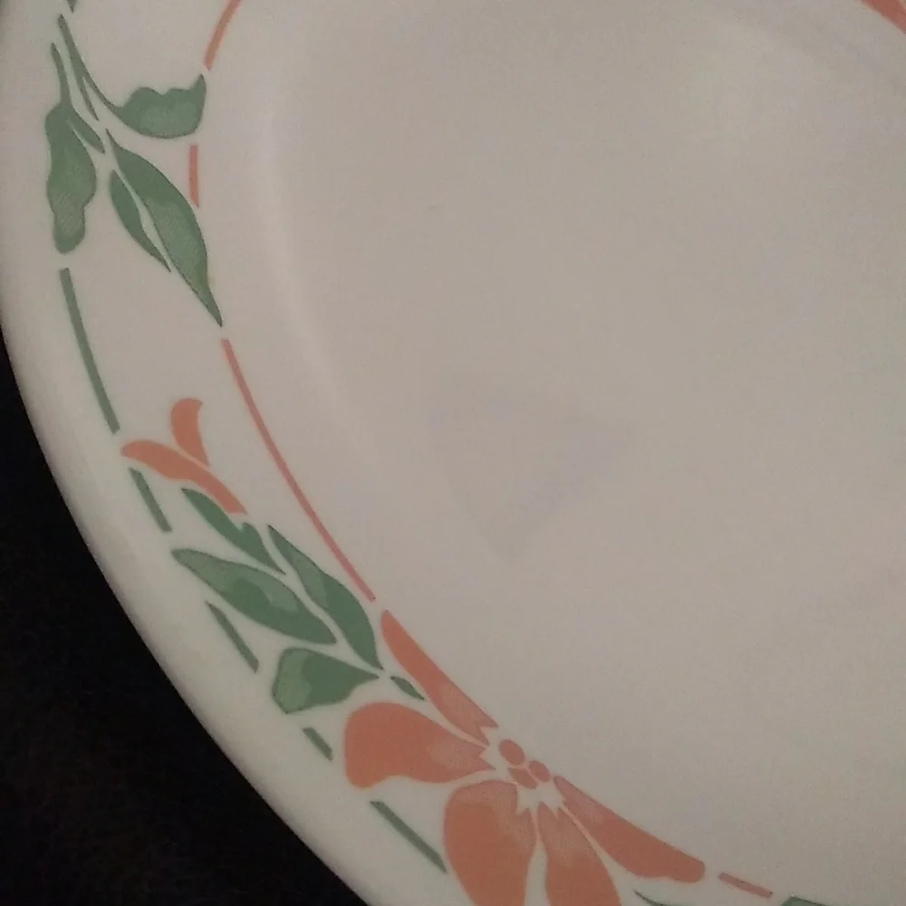 Corelle Island Breeze 6 Dinner Plates